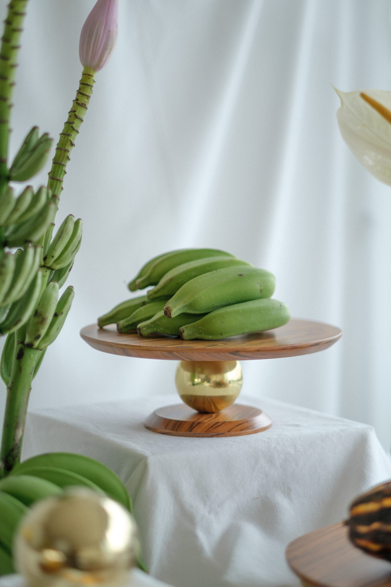 CaptureOneCatalog0099