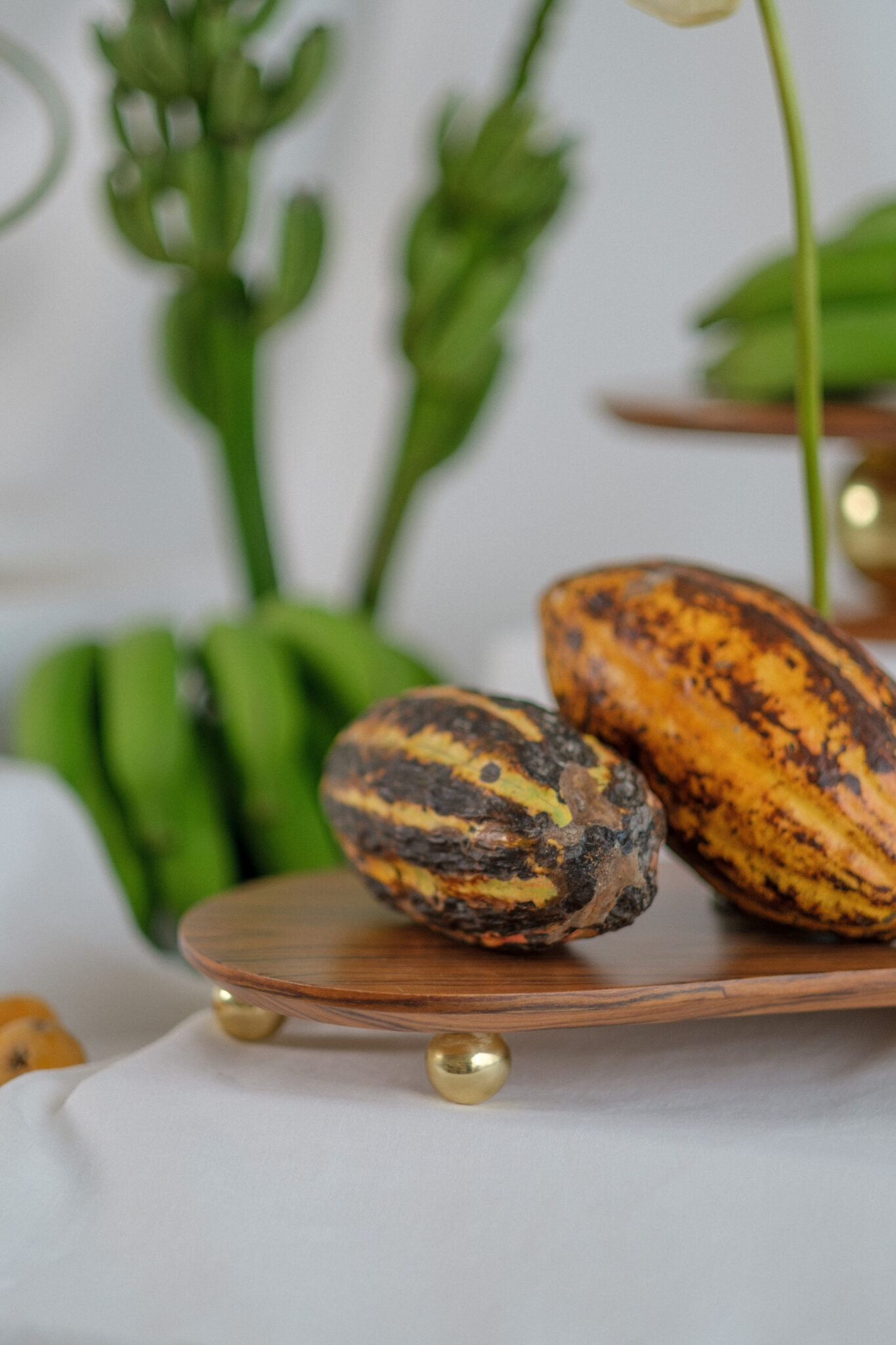 CaptureOneCatalog0120